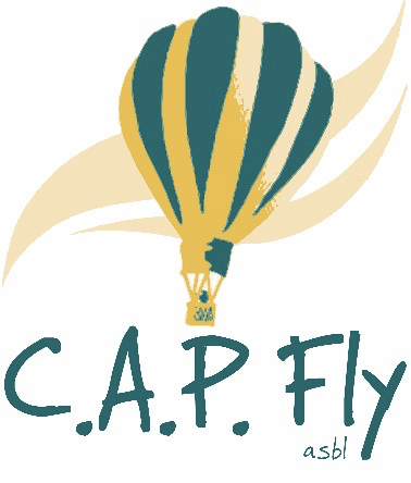 Cap fly
