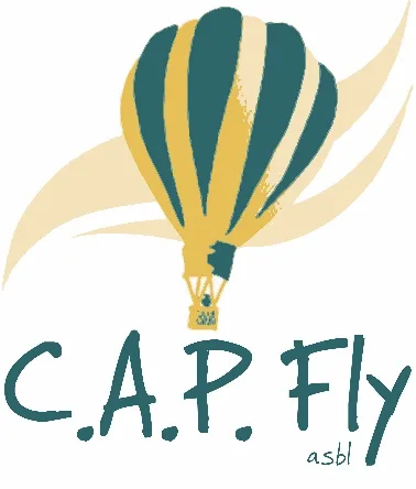 Logo cap fly