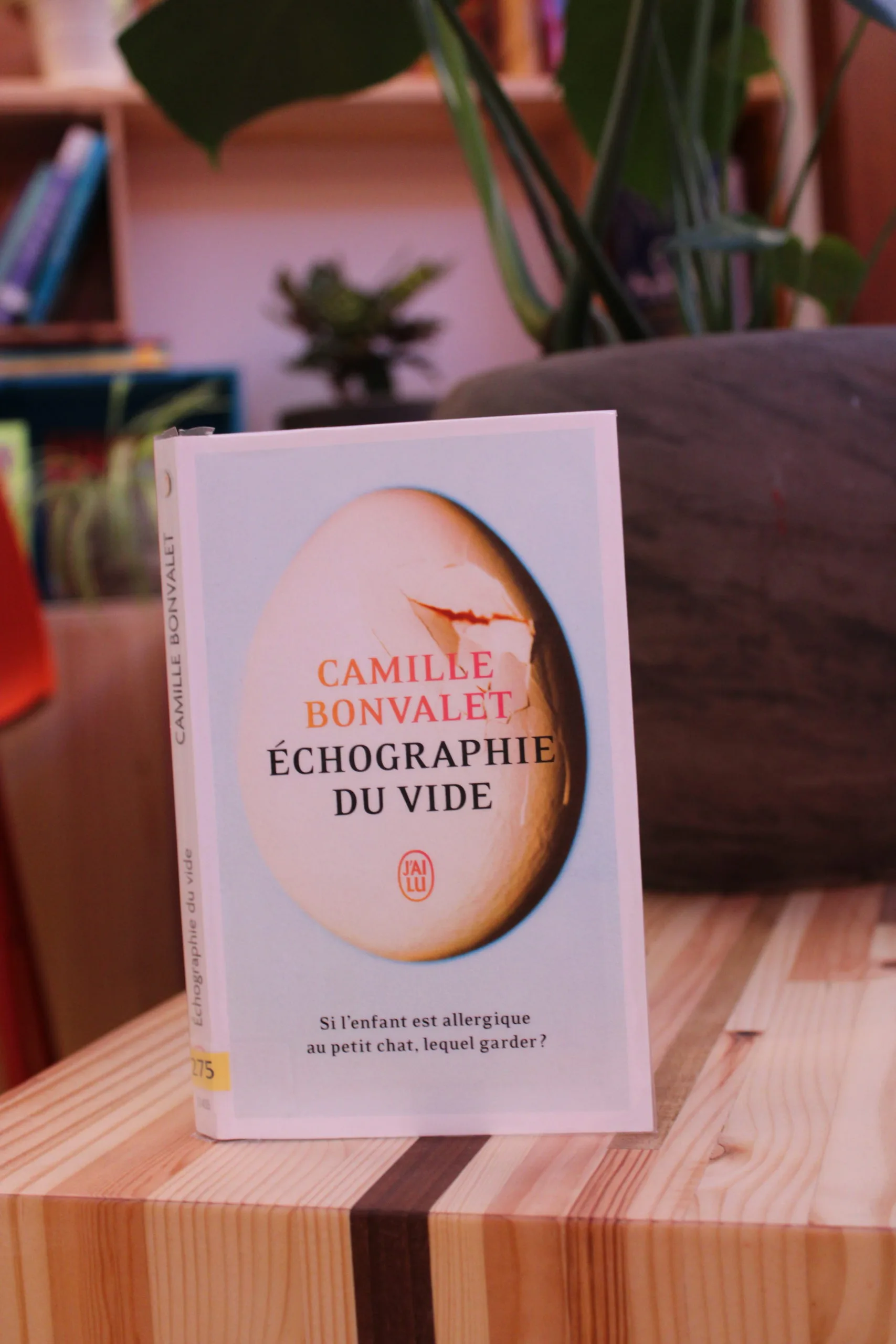 Echographie du vide